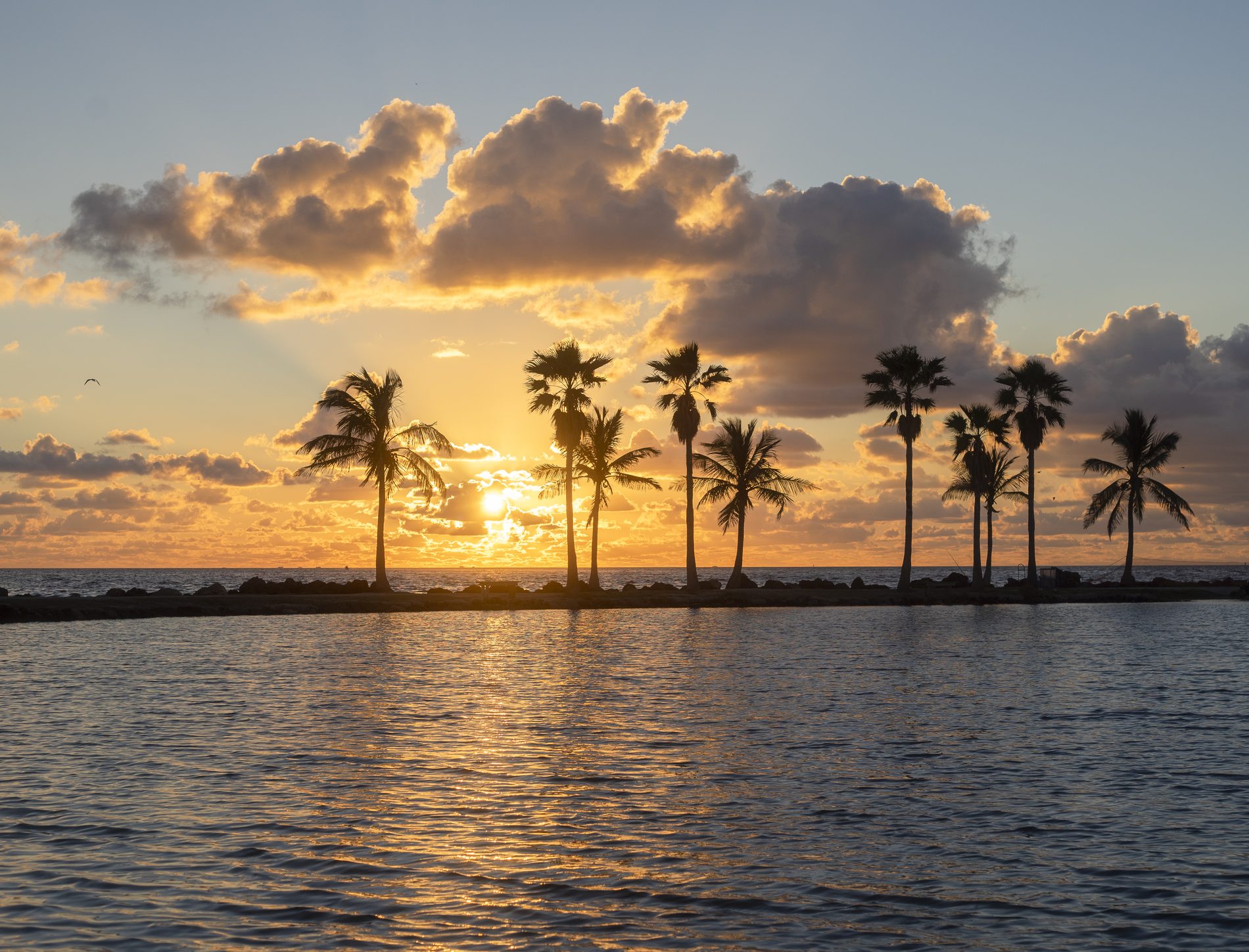 Sunset Over Palms